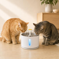 Dos gatos bebiendo a la vez de la fuente Michiagua
